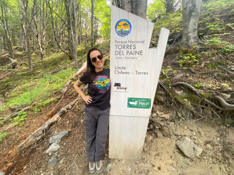 Torres Del Paine Roteiro Para Chegar Na Base Partiu Viajar