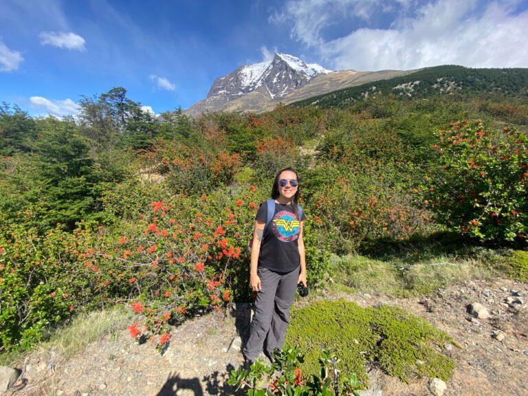 Torres Del Paine Roteiro Para Chegar Na Base Partiu Viajar