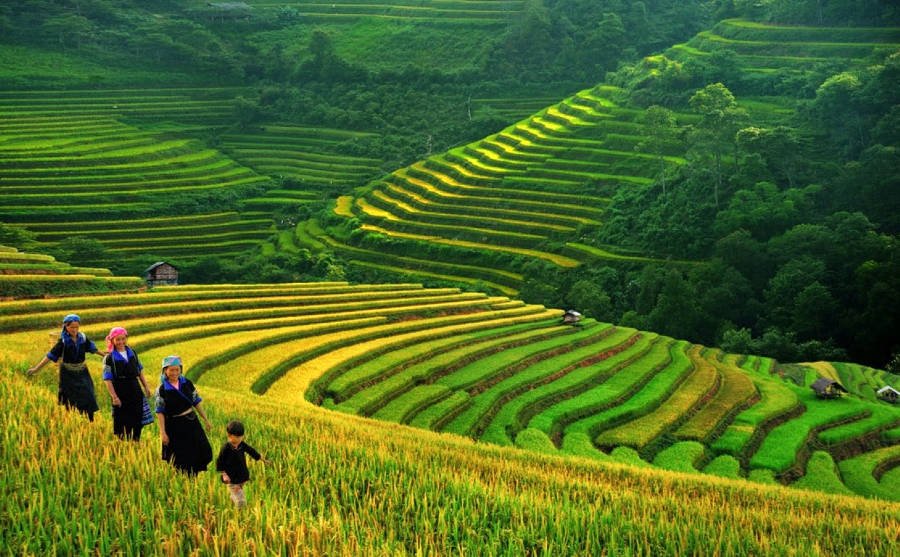 Sapa. Foto: http://www.crossingtravel.com