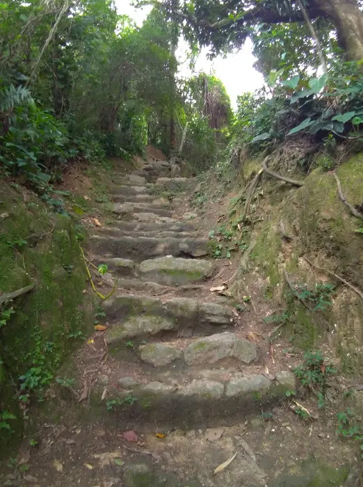 Trilha do Parque Natural da Catacumba | O que fazer no Rio de Janeiro com pouco dinheiro