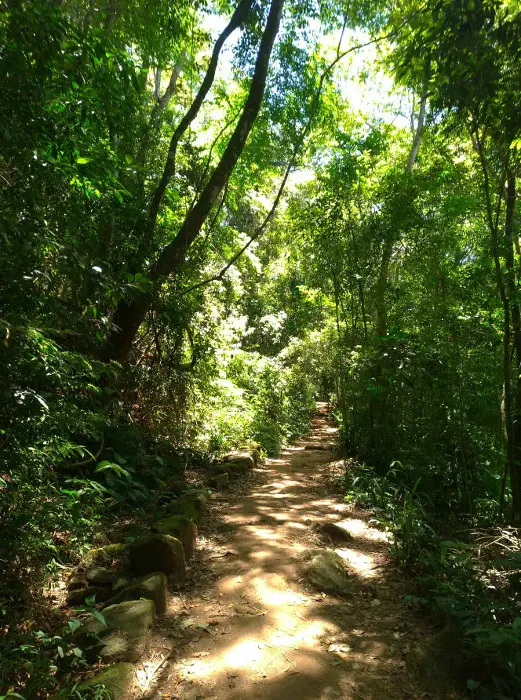 Trilha da Pedra Bonita.