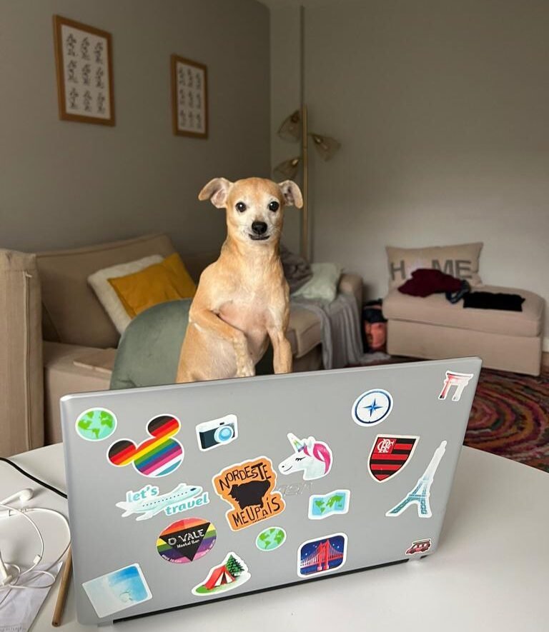 Trusted House Sitters vale a pena