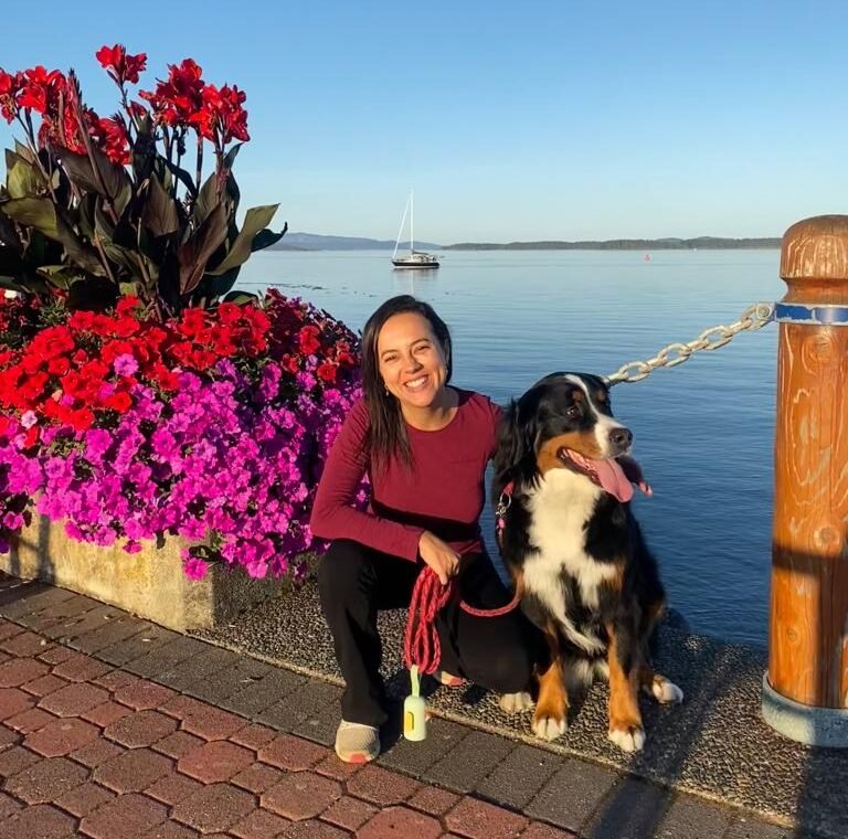 Trusted House Sitters Como Funciona Vale A Pena Partiu Viajar