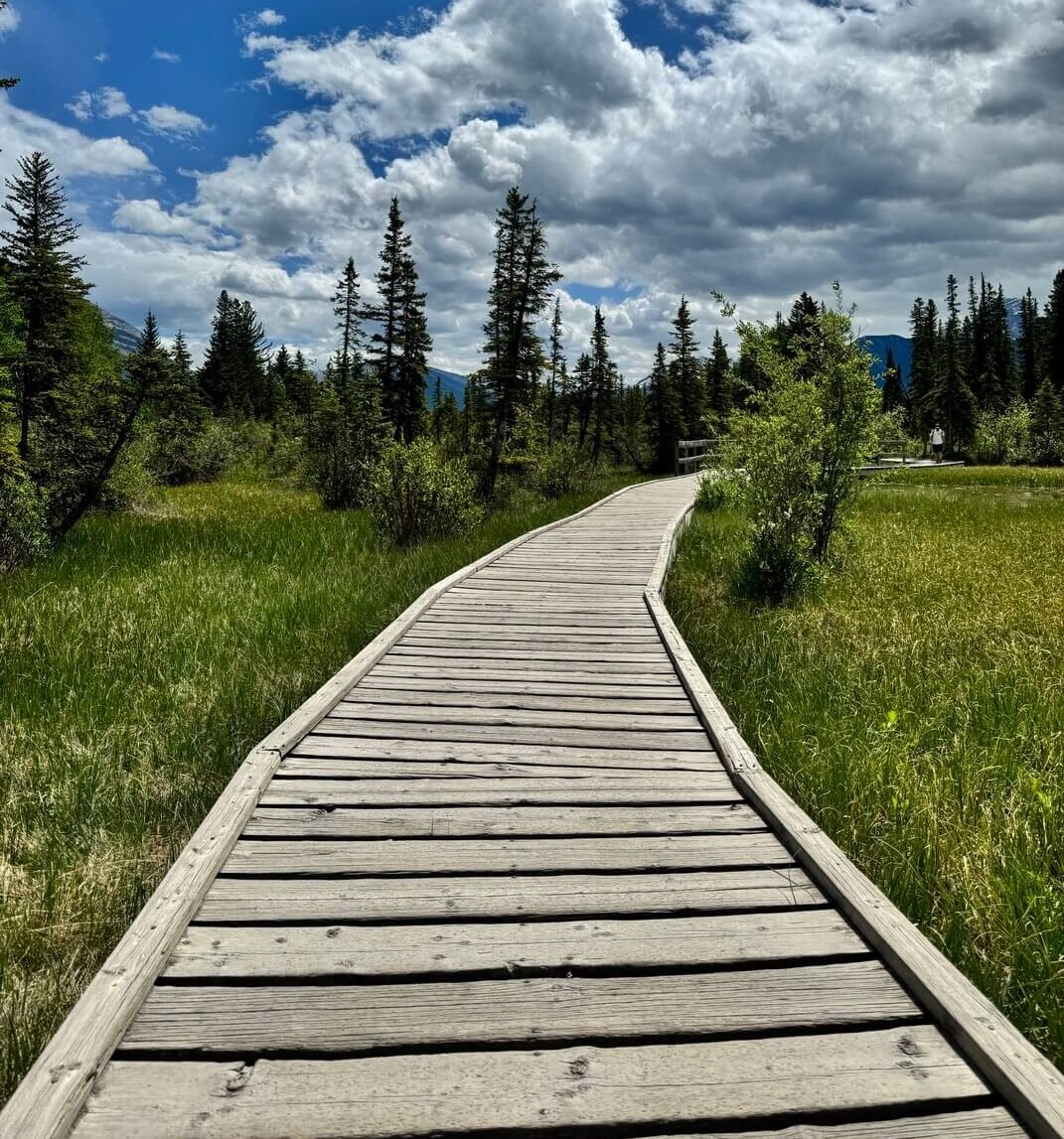 Policeman’s Creek Boardwalk, Canmore