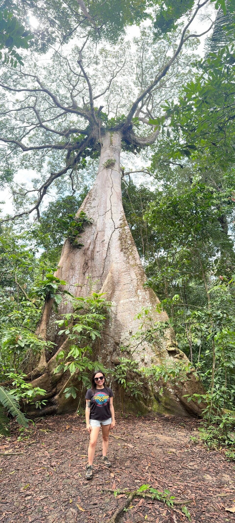 Sumaúma gigante | Ilha do Combu