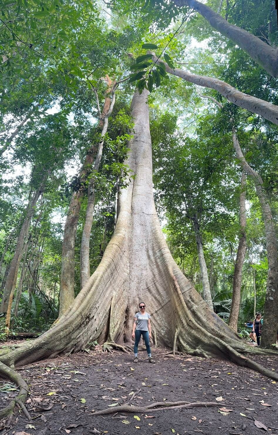Floresta Nacional do Tapajós | Alter do Chão